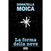 "La forma della Neve" di Donatella Moica