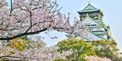 Tra le vie fiorite del Giappone. Impressioni di viaggio in Oriente di Giovanni Comisso