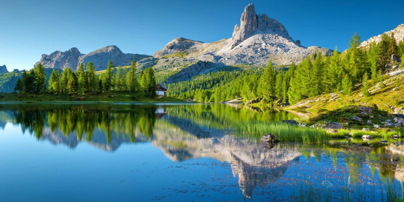 Magie di stagione - Le Dolomiti in fiore